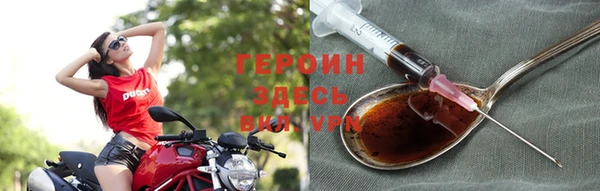 индика Новодвинск