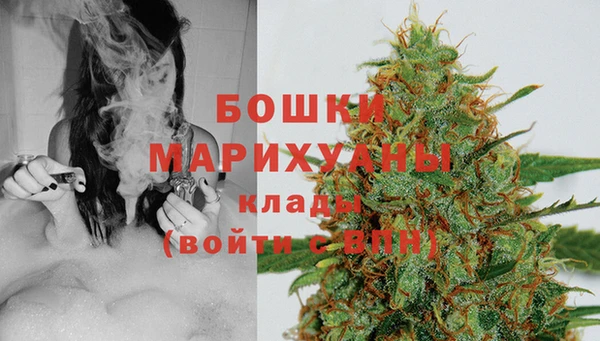 прущая мука Нея