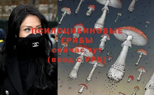 прущая мука Нефтегорск