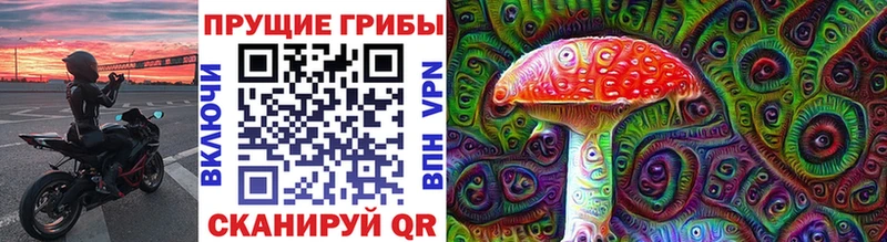 KRAKEN зеркало  Шарыпово  Псилоцибиновые грибы ЛСД 