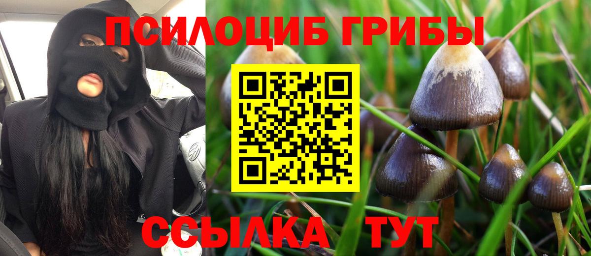 Псилоцибиновые грибы мицелий Шарыпово